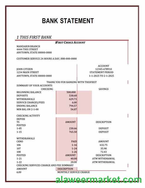Nigeria First Bank statement Word and PDF template